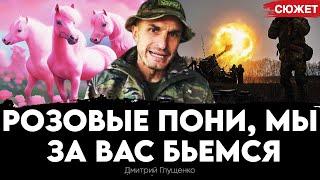 Обращение командира ЗСУ к украинцам: Розовые пони, вам придется измениться. Дмитрий Глущенко