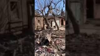 Мариуполь,видео Тани-после авианалëта российского бомбардировщика .Март 2022