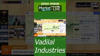 Vadilal Industries Ltd. के शेयर में क्या करें? Expert Opinion by Avinash Gorakshakar