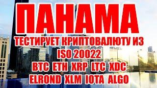 ПАНАМА ТЕСТИРУЕТ ISO 20022 BTC  ETH  XRP  LTC  XDC   ELROND  XLM  IOTA  ALGO