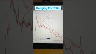 How to do Hedging in Your Portfolio? By Using this Trick!!!