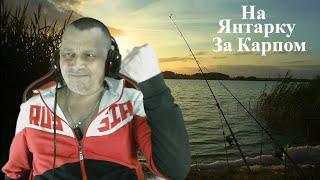 Русская рыбалка 4 ⚓ (РР 4) На Янтарку за карпом