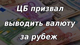 Банк России призвал россиян выводить доллары за рубеж. Курс доллара.