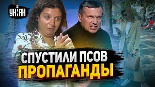 Пропагандоны наносят ответный удар: Кремль запустил позорный фейк о жене Зеленского