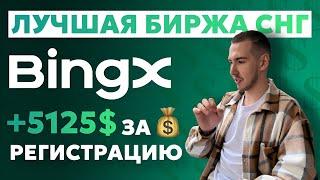 Лучшая биржа для торговли BingX | Подробная инструкция