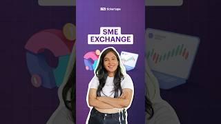 SME Exchange EXPLAINED in 44 seconds #tickertape #sme #exchange #shorts