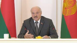 Лукашенко: По-крестьянски скажу: умрите, но соберите эти травы!