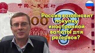 Александр Баулин - Россия возобновит покупку иностранной валюты для резервов?