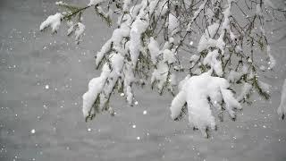 Вокруг все покрыто белым пушистым снегом, который создает атмосферу сказочной зимней сказки